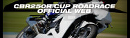 CBR250R CUP Road Race Web